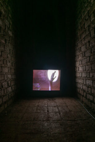  Da atividade Manjar: Beleza e Devastação ou Eterno Retorno. 