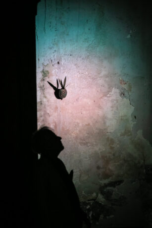  Da atividade Manjar: Beleza e Devastação ou Eterno Retorno. 