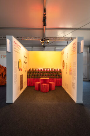  Da atividade Solar dos Abacaxis [ArtRio]. 