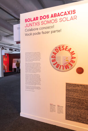  Da atividade Solar dos Abacaxis [ArtRio]. 