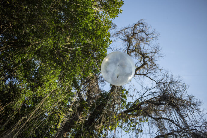  Da atividade A Grandiosa Festa Junina de Santo Antônio do Abacaxi II. 