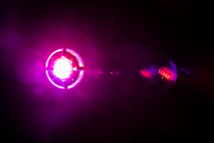  Obra(s) por Elena Narbutaite.  Da atividade Manjar: Beleza e Devastação ou Eterno Retorno. 