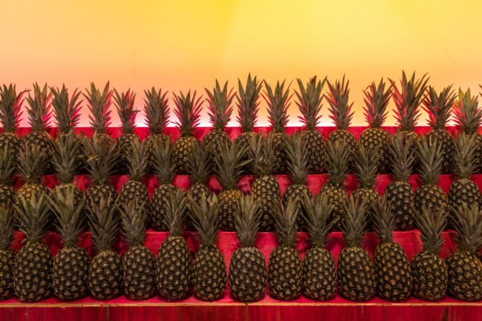  Obra(s) por Enrica Bernardelli.  Da atividade Solar dos Abacaxis [ArtRio]. 