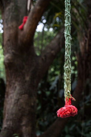  Obra(s) por Ernesto Neto.  Da atividade Manjar: Amar em Liberdade. 