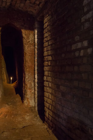  Obra(s) por Ernesto Neto.  Da atividade Manjar: Amar em Liberdade. 