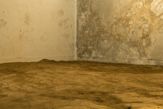  Obra(s) por Lais Myrrha.  Da atividade Manjar: Armando Queiroz, Drummond, Deyson Gilbert, Ashadu, Laís Myrrha, Bqueer. 