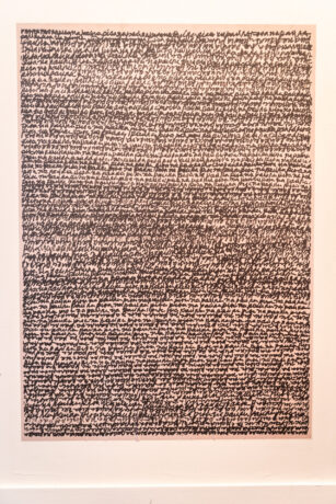  Obra(s) por Lenora de Barros.  Da atividade Solar dos Abacaxis [ArtRio]. 