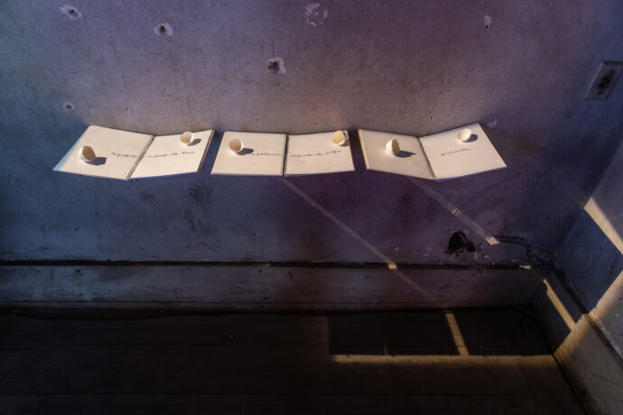  Obra(s) por Ana Miguel.  Da atividade Manjar: Em tudo que vive, tudo que flui. 