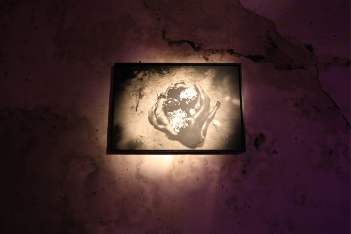  Obra(s) por Claudia Andujar.  Da atividade Manjar: Re-Conhecimento. 