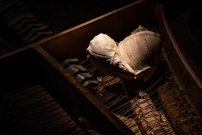  Obra(s) por Mayra Martins Redin.  Da atividade Manjar: Em tudo que vive, tudo que flui. 