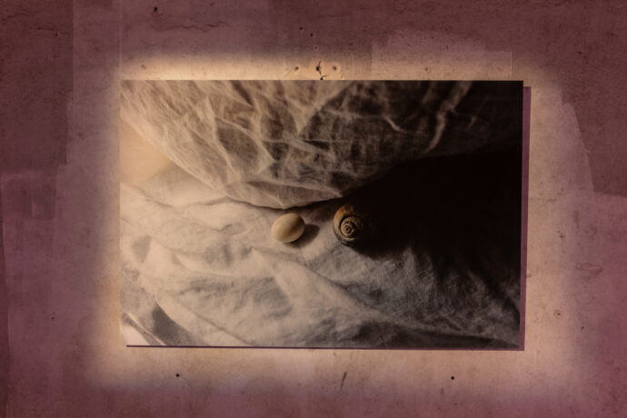  Obra(s) por Regina Vater.  Da atividade Manjar: Em tudo que vive, tudo que flui. 