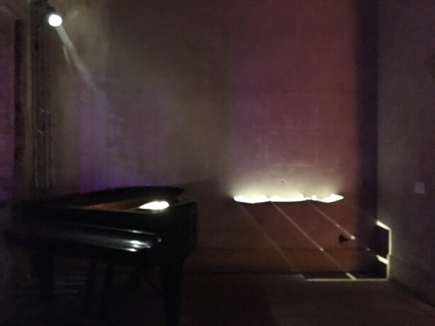  Obra(s) por Ana Miguel. 