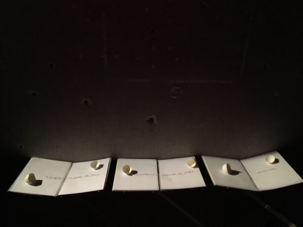  Obra(s) por Ana Miguel. 