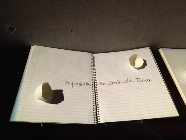  Obra(s) por Ana Miguel. 