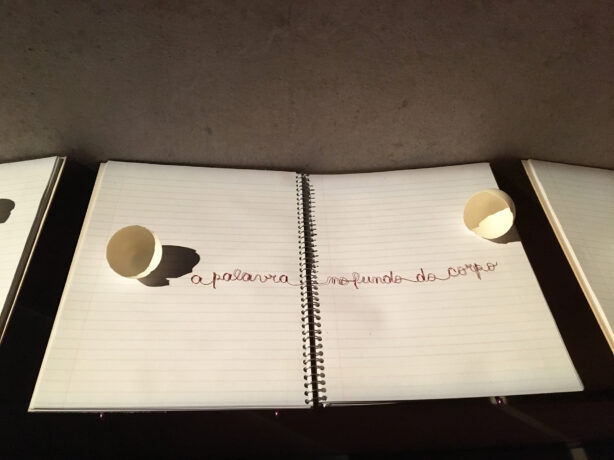  Obra(s) por Ana Miguel. 