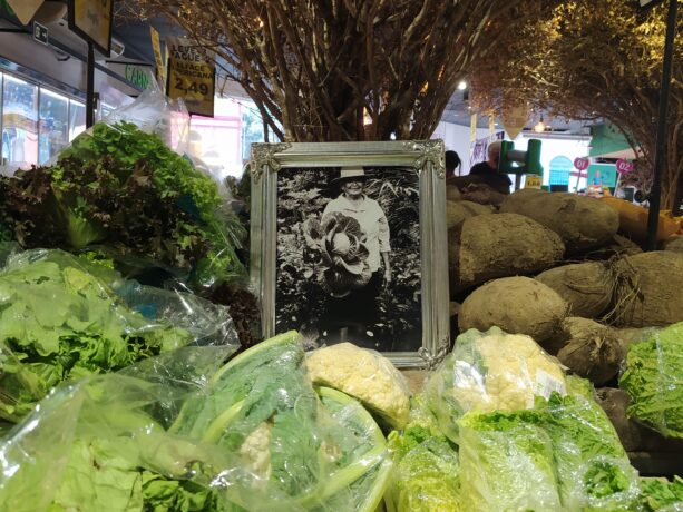  Obra(s) por Coletivo CARNI.  Da atividade Local da Ação. 