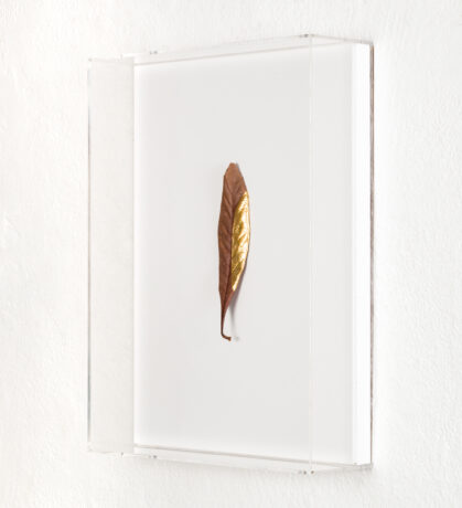  Obra(s) por Daniel Steegmann Mangrané.  Da atividade AFLUENTE [ArtRio]. 