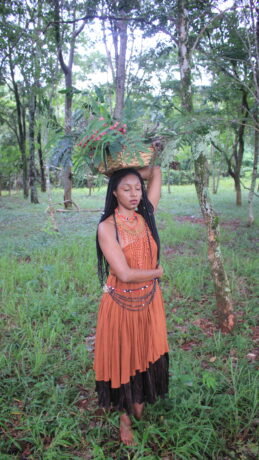  Obra(s) por Hariel Revignet. 