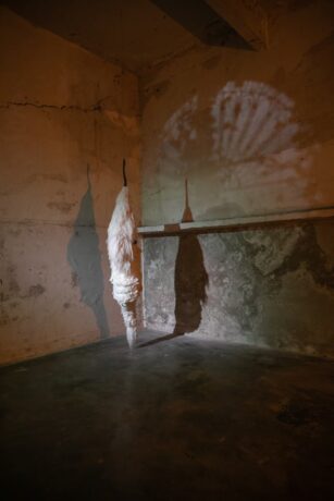  Obra(s) por Zé Carlos Garcia. 