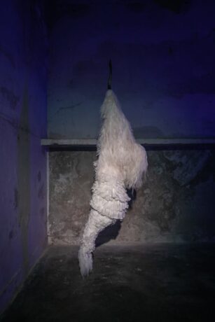  Obra(s) por Zé Carlos Garcia. 