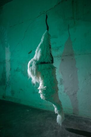  Obra(s) por Zé Carlos Garcia. 