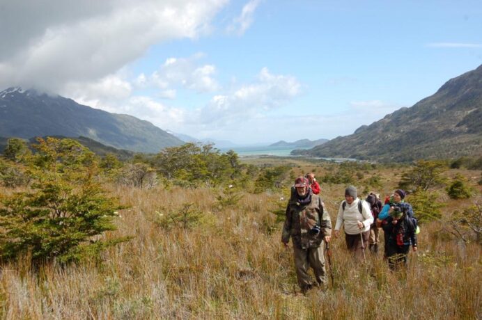  Obra(s) por Camila Marambaio.  Da atividade Para Nossos Vizinhos de Sonhos. 