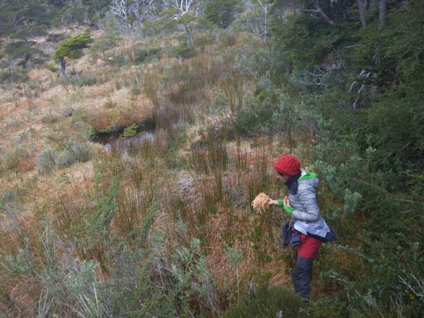  Obra(s) por Camila Marambaio.  Da atividade Para Nossos Vizinhos de Sonhos. 