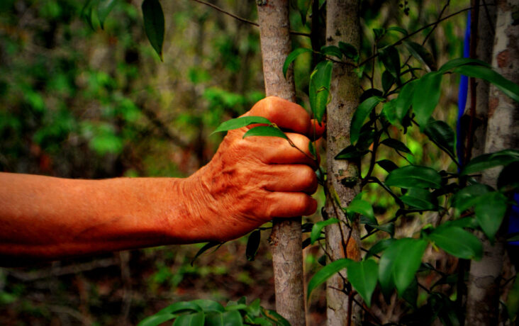  Obra(s) por Eliana Amorim.  Da atividade NTÚ. 