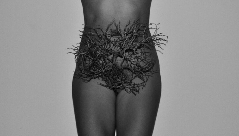  Obra(s) por Eliana Amorim.  Da atividade NTÚ. 