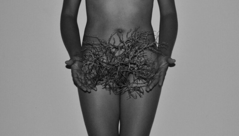  Obra(s) por Eliana Amorim.  Da atividade NTÚ. 