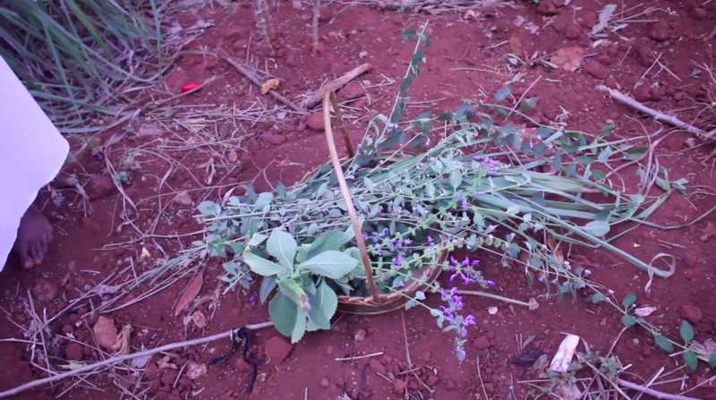  Obra(s) por Hariel Revignet.  Da atividade NTÚ. 