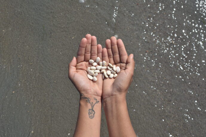  Obra(s) por Maria Macedo.  Da atividade NTÚ. 