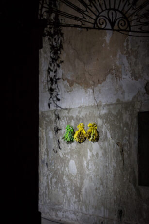  Obra(s) por Thiago Honório.  Da atividade Manjar: Almeida Junior, Engel Leonardo, Maíra das Neves, Thiago Honório (e Turma do 6º ano de 2017 da Escola Profª Julieta Lentz Puerta de Joaçaba, Santa Catarina). 