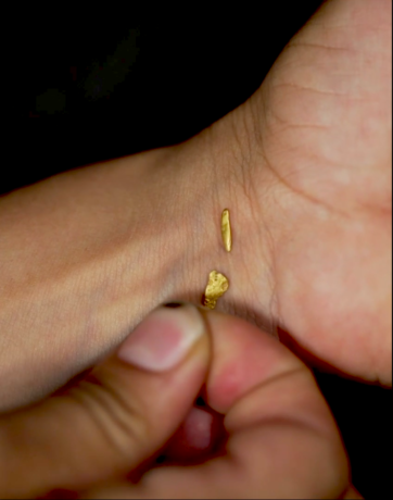  Obra(s) por Carolina Caycedo.  Da atividade Para Nossos Vizinhos de Sonhos. 