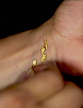  Obra(s) por Carolina Caycedo.  Da atividade Para Nossos Vizinhos de Sonhos. 