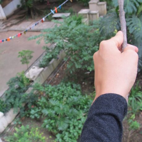  Obra(s) por Maria Palmeiro.  Da atividade Para Nossos Vizinhos de Sonhos. 