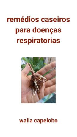  Obra(s) por Walla Capelobo.  Da atividade Para Nossos Vizinhos de Sonhos. 