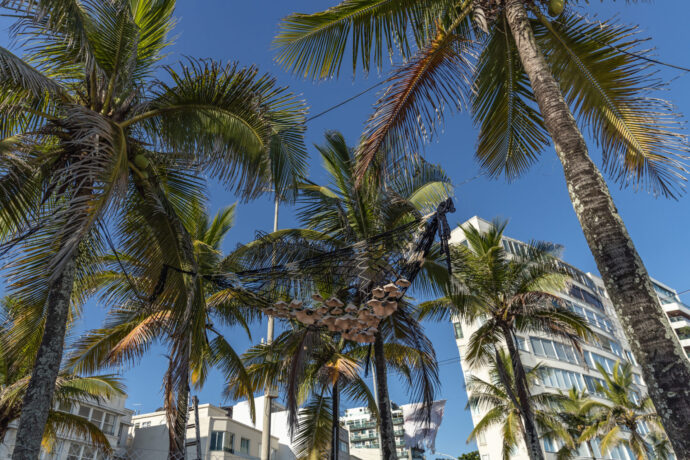  Da atividade Manjar: D'olho D'água à Foz. 