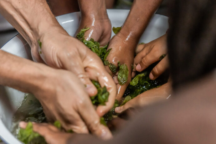  Da atividade Nascente. 