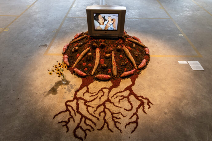  Da atividade Nascente. 