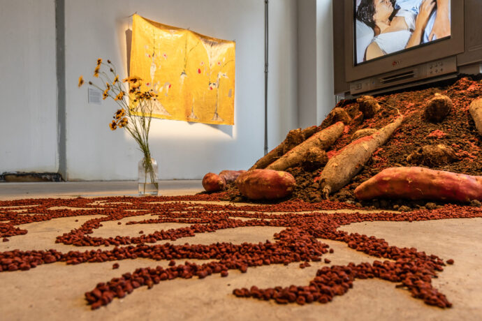  Da atividade Nascente. 