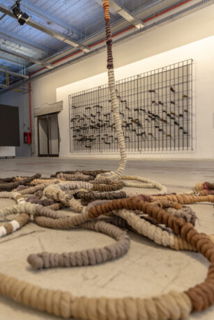  Da atividade Os Avessos do avesso da liberdade. 