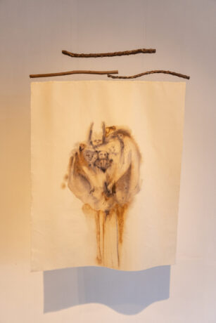  Da atividade ⁠Espelhos d’água viva. 