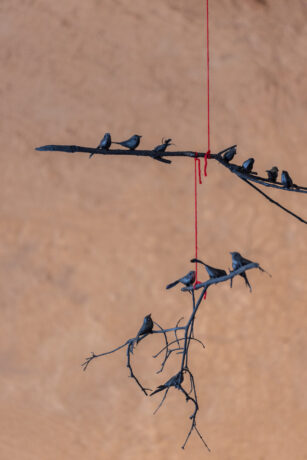  Da atividade ⁠Espelhos d’água viva. 