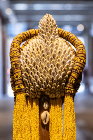  Da atividade ⁠Espelhos d’água viva. 